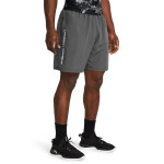 UA WOVEN WDMK SHORTS 