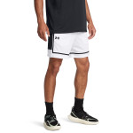 UA BASELINE PRO MESH SHORT 