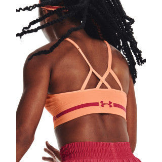 Women's UA Seamless Low Long Sports Bra 