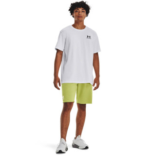 Men's UA Logo Embroidered Heavyweight Short Sleeve