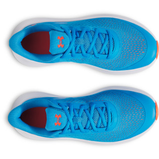 UA BGS ROGUE 5