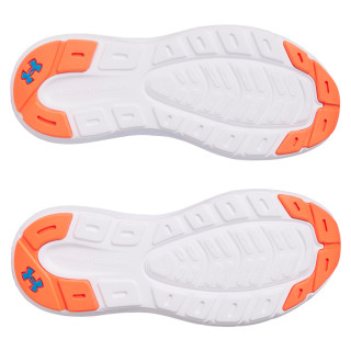 UA BGS ROGUE 5