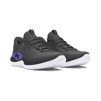 UA FLOW DYNAMIC INTLKNT 