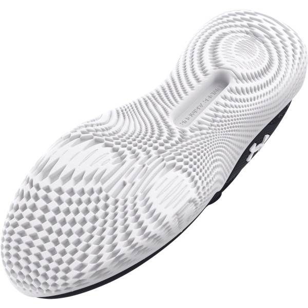 UA FLOW DYNAMIC INTLKNT