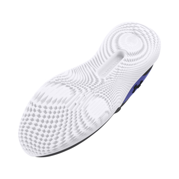 UA FLOW DYNAMIC INTLKNT