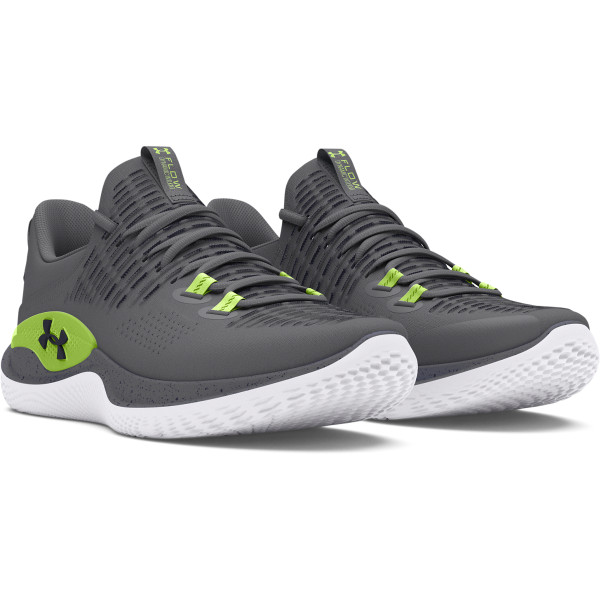UA FLOW DYNAMIC INTLKNT