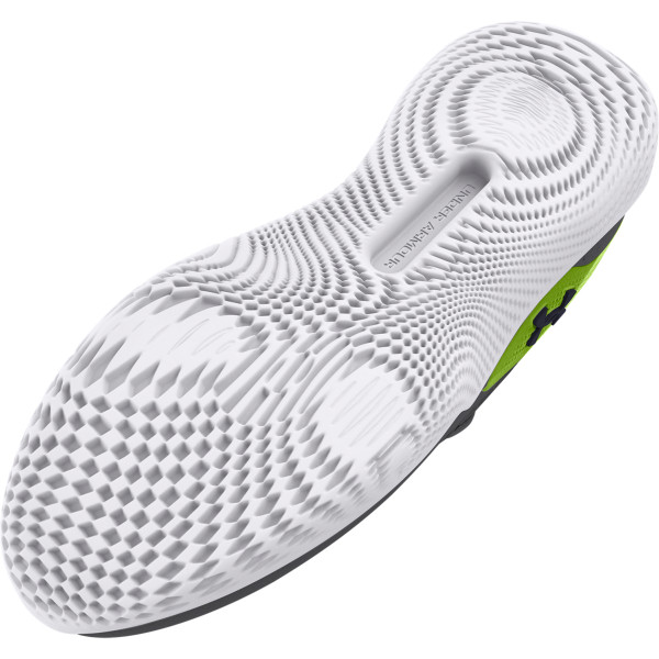 UA FLOW DYNAMIC INTLKNT